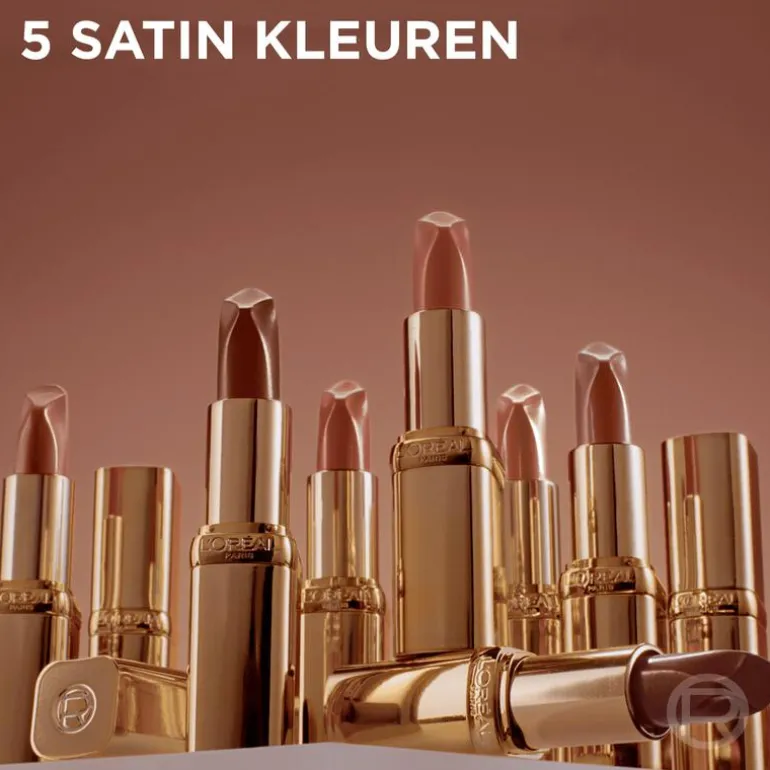 L'Oréal Paris Color Riche Satin 540 Unstoppable Nudes of Worth Lippenstift 4,5 GR