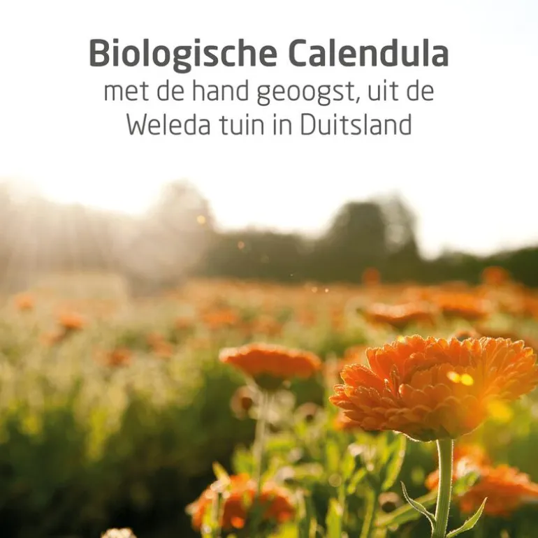 Weleda Baby Calendula Bodycrème