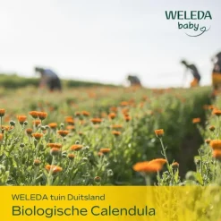 Weleda Baby Calendula Verzorgende Olie
